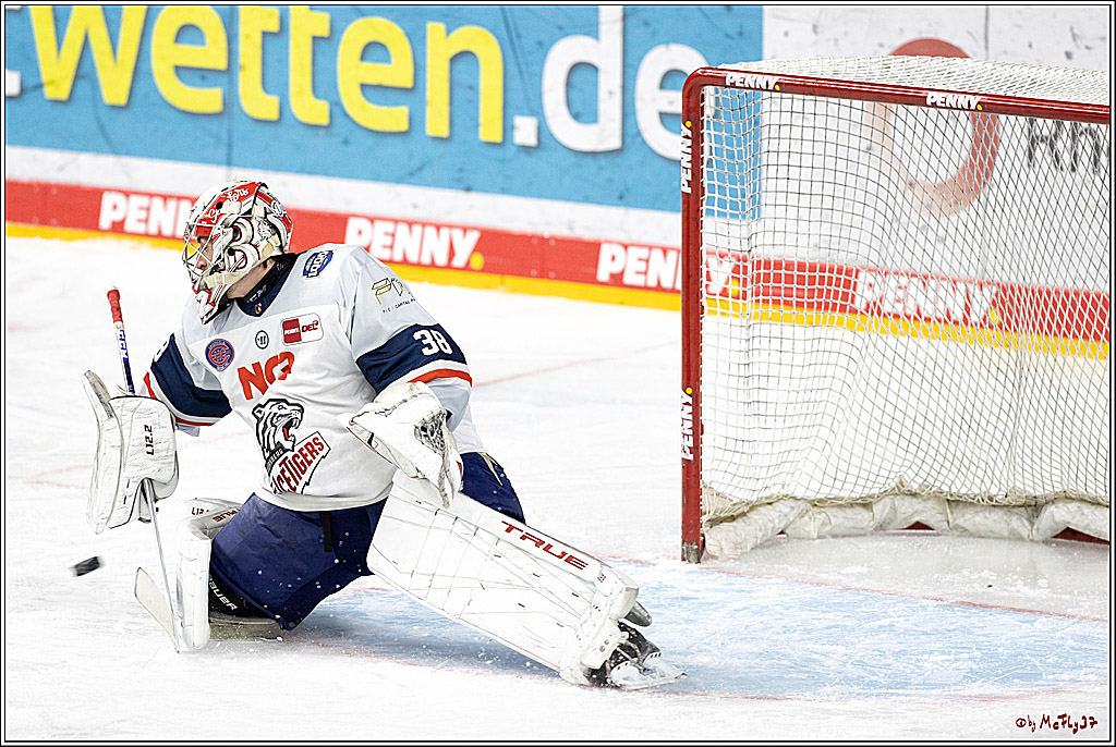 PENNY DEL;  Koelner Haie - Nuernberg Ice Tigers; Koeln, 03.12.2021